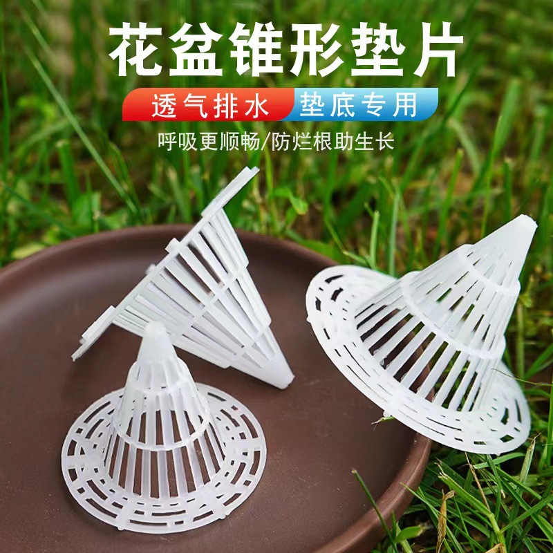 讀海子 讀書(shū)不僅是精進(jìn)，也是自我透氣